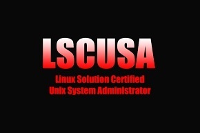 LSCUSA
